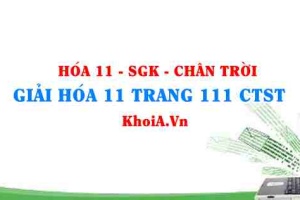 Giải Hóa 11 trang 111 Chân trời Sáng tạo